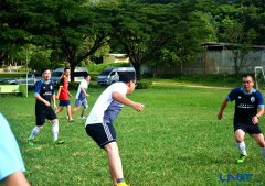 绿荫争霸 花落谁家