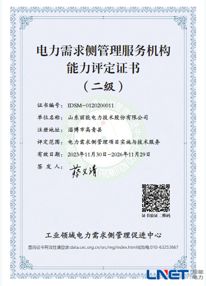 电力需求侧管理项目实施与技术服务二级